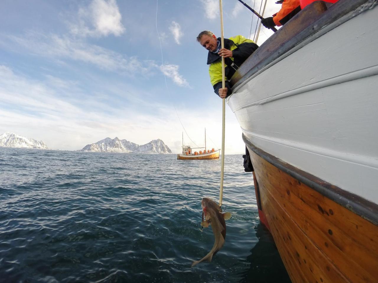 Willa Rorbuene Svolvaer Havn Zewnętrze zdjęcie